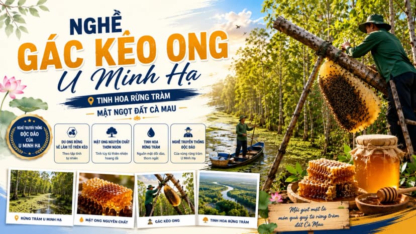 Bộ kèo dẫn dụ ong mật tự nhiên giữa rừng tràm U Minh Hạ