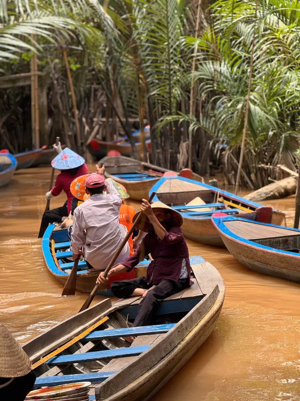 Tour miền Tây 2 ngày 1 đêm đi đâu đẹp? Gợi ý lịch trình dễ đi từ TP.HCM