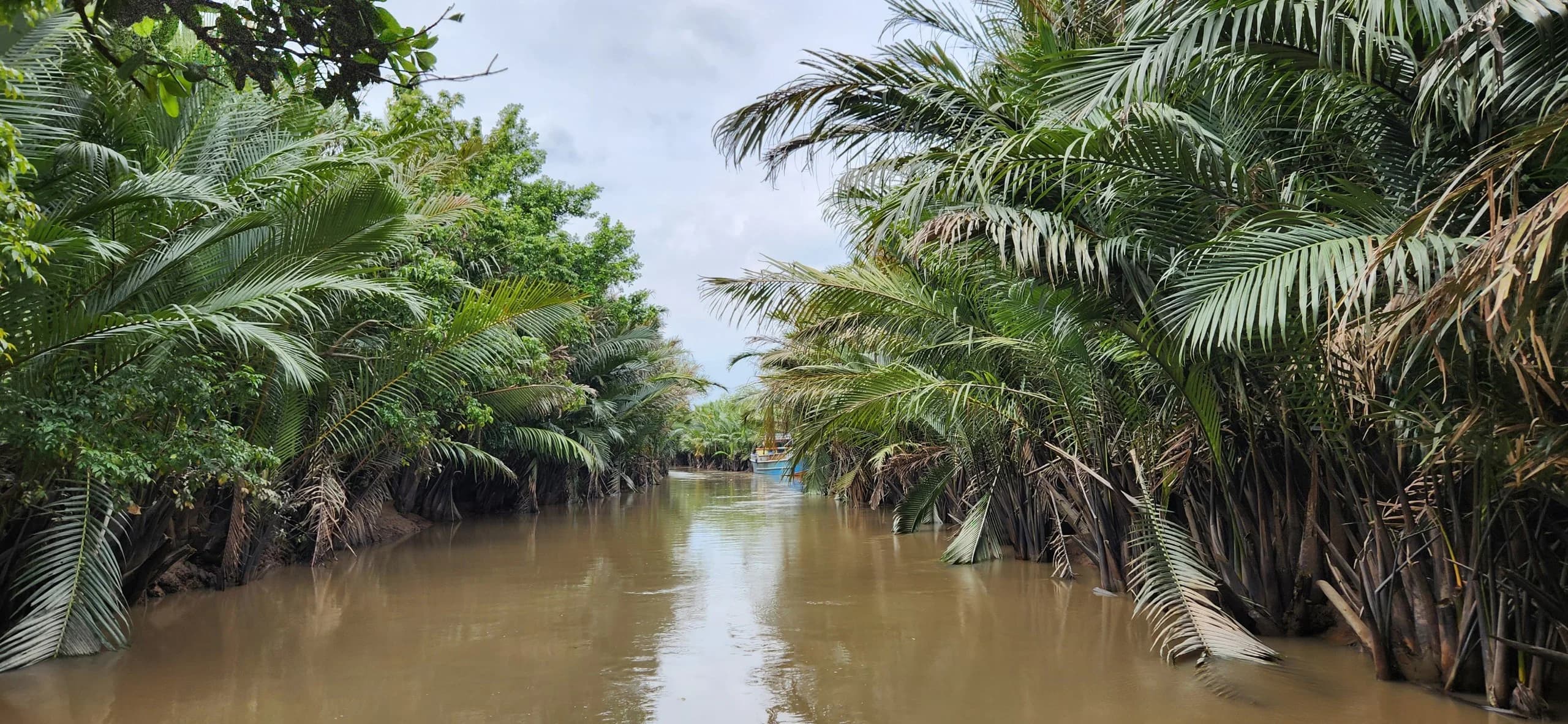 Miền Tây mùa nào đẹp? Gợi ý thời điểm lý tưởng để đi tour và du lịch tự túc