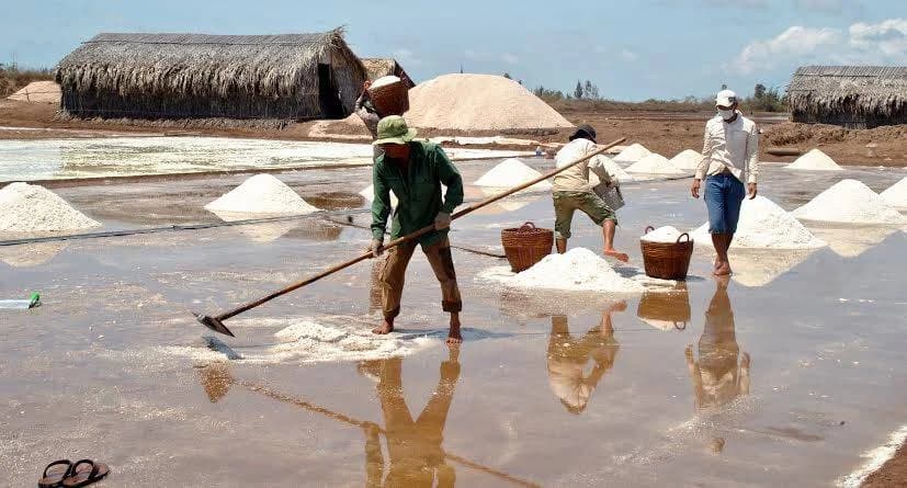 Cánh Đồng Muối Bạc Liêu Ở Đâu? Cánh đồng muối Bạc Liêu – Vẻ