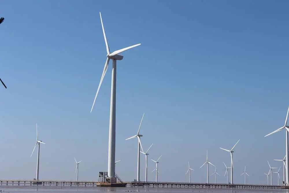 Cánh Đồng Quạt Gió Bạc Liêu: Trải Nghiệm "Châu Âu Thu Nhỏ"