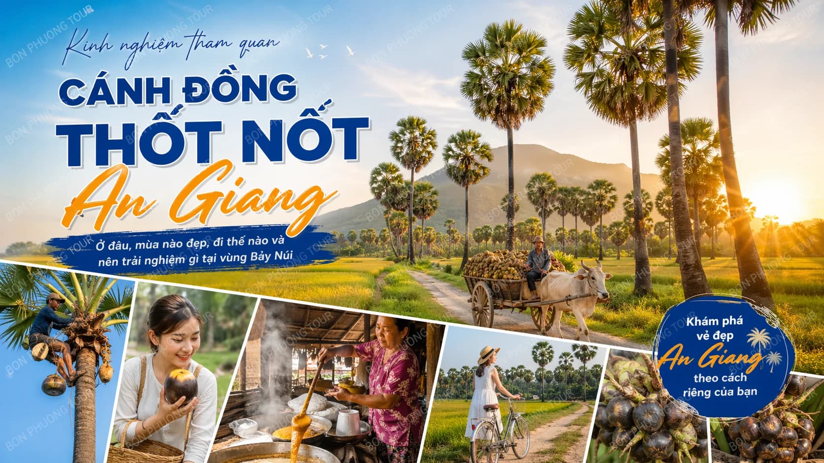 Cánh Đồng Thốt Nốt An Giang: Ở Đâu, Mùa Nào Đẹp?