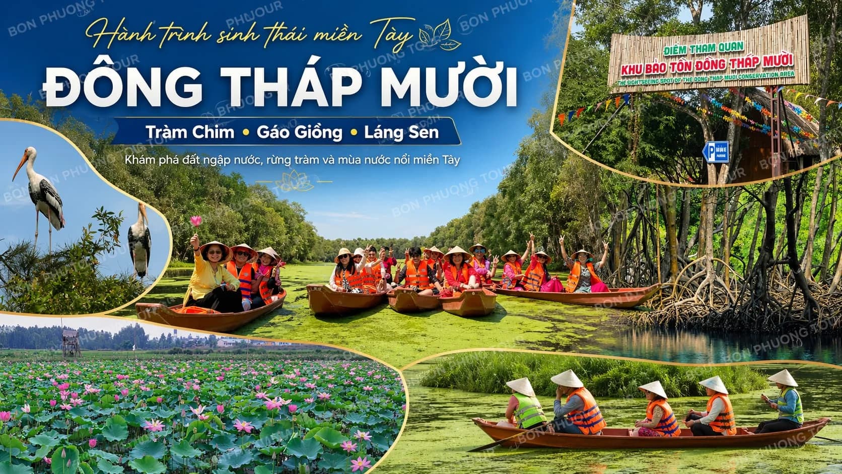Đồng Tháp Mười có gì? Điểm đẹp và mùa nên đi