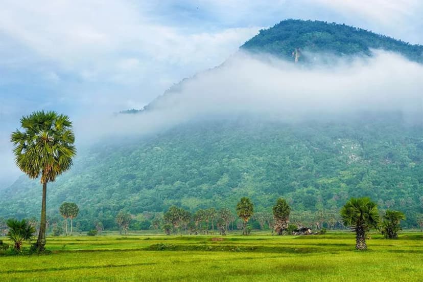 Vẻ đẹp Núi Cấm