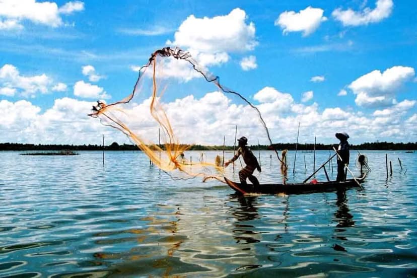 Thời Điểm Lý Tưởng Đến Hàm Ninh