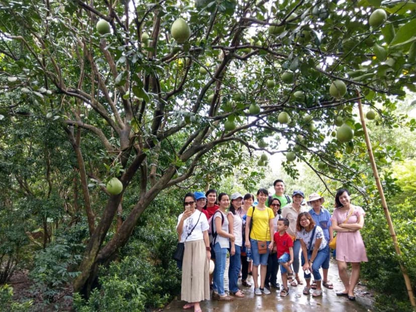 Gợi Ý Tour Kết Hợp Vườn Trái Cây Vĩnh Kim