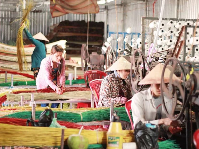 Tham quan cơ sở người dân sản xuất chiếu
