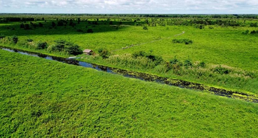 Hệ sinh thái rừng U Minh Thượng