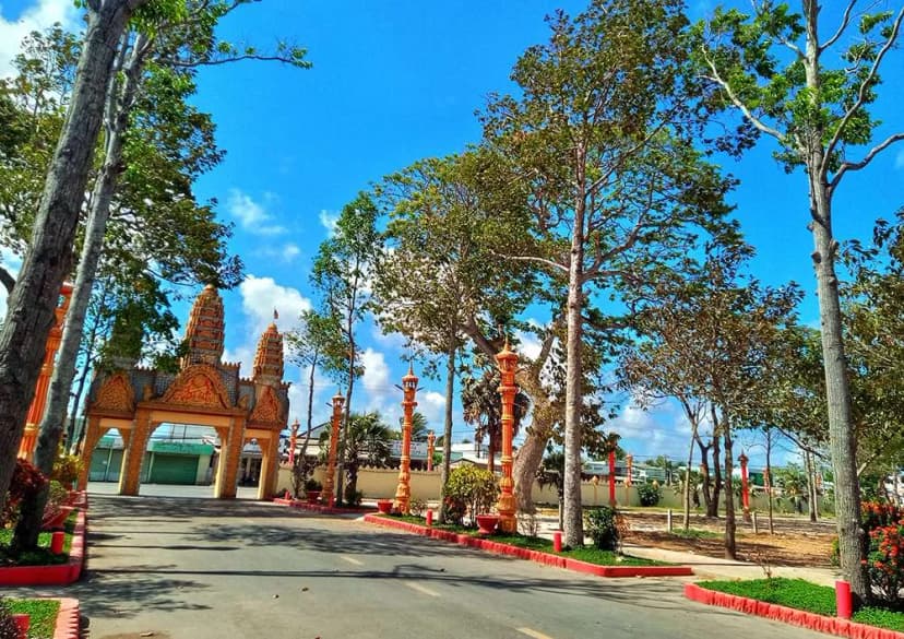 Hàng cây sao cổ đại của chùa