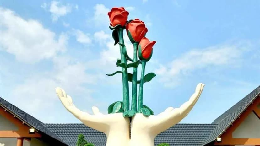 Lưu ý khi đi cùng trẻ em và người lớn tuổi