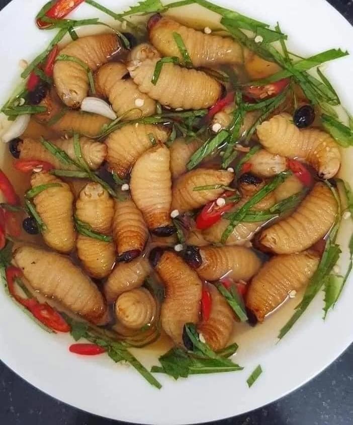 Hình minh họa