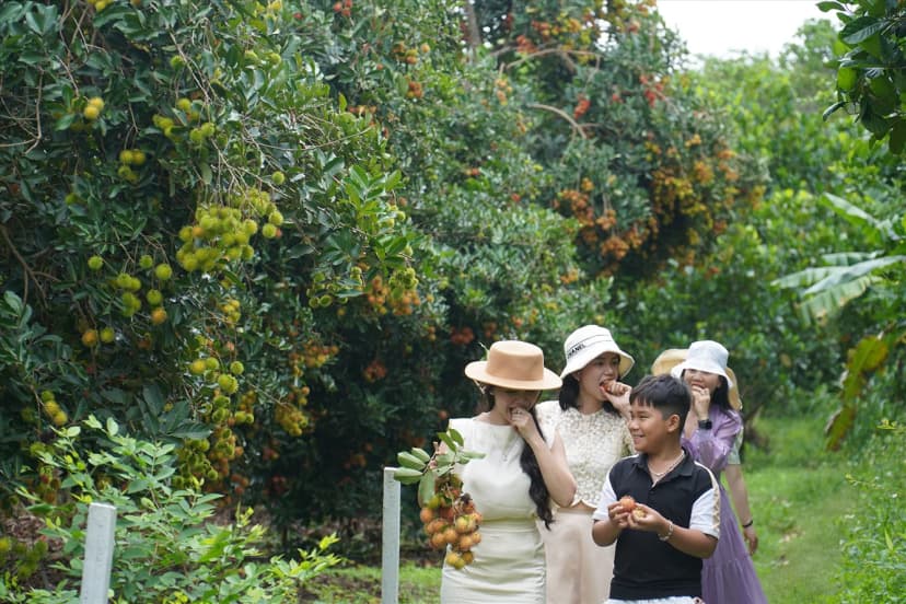 Thưởng thức trái cây tươi tại miền Tây trong hành trình du lịch hè miền Tây