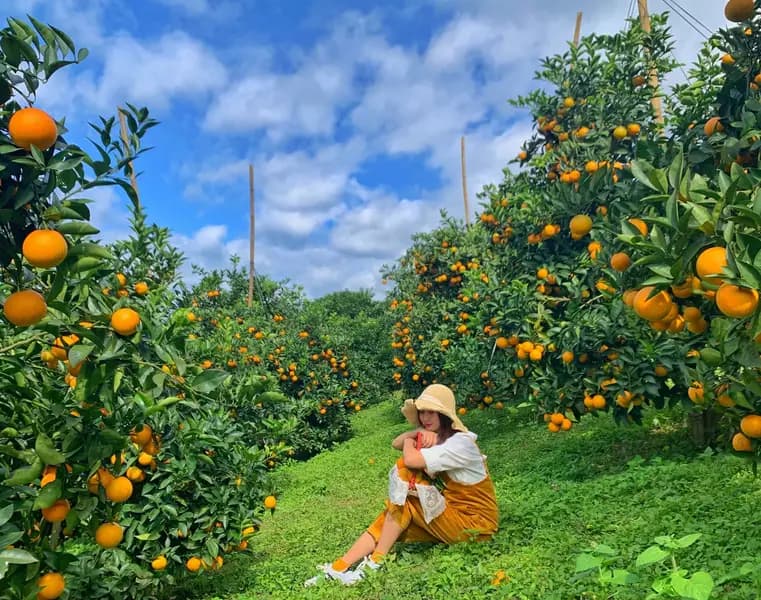 du lịch miền Tây 2 ngày 1 đêm cho gia đình và nhóm bạn