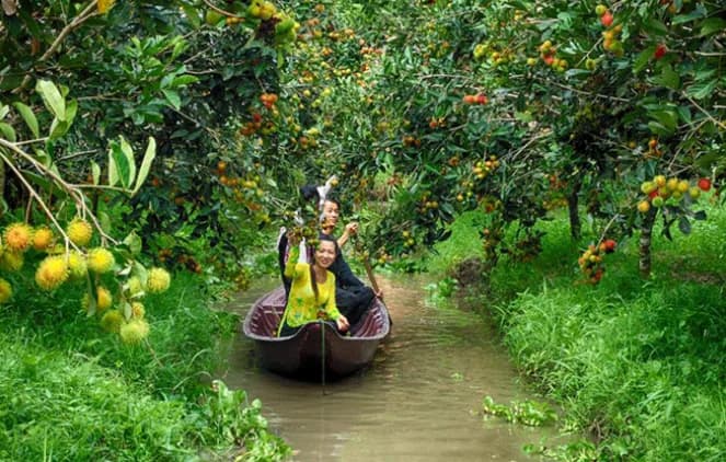 Chèo xuồng ba lá - tham quan vườn trái cây ở miền Tây có gì vui?