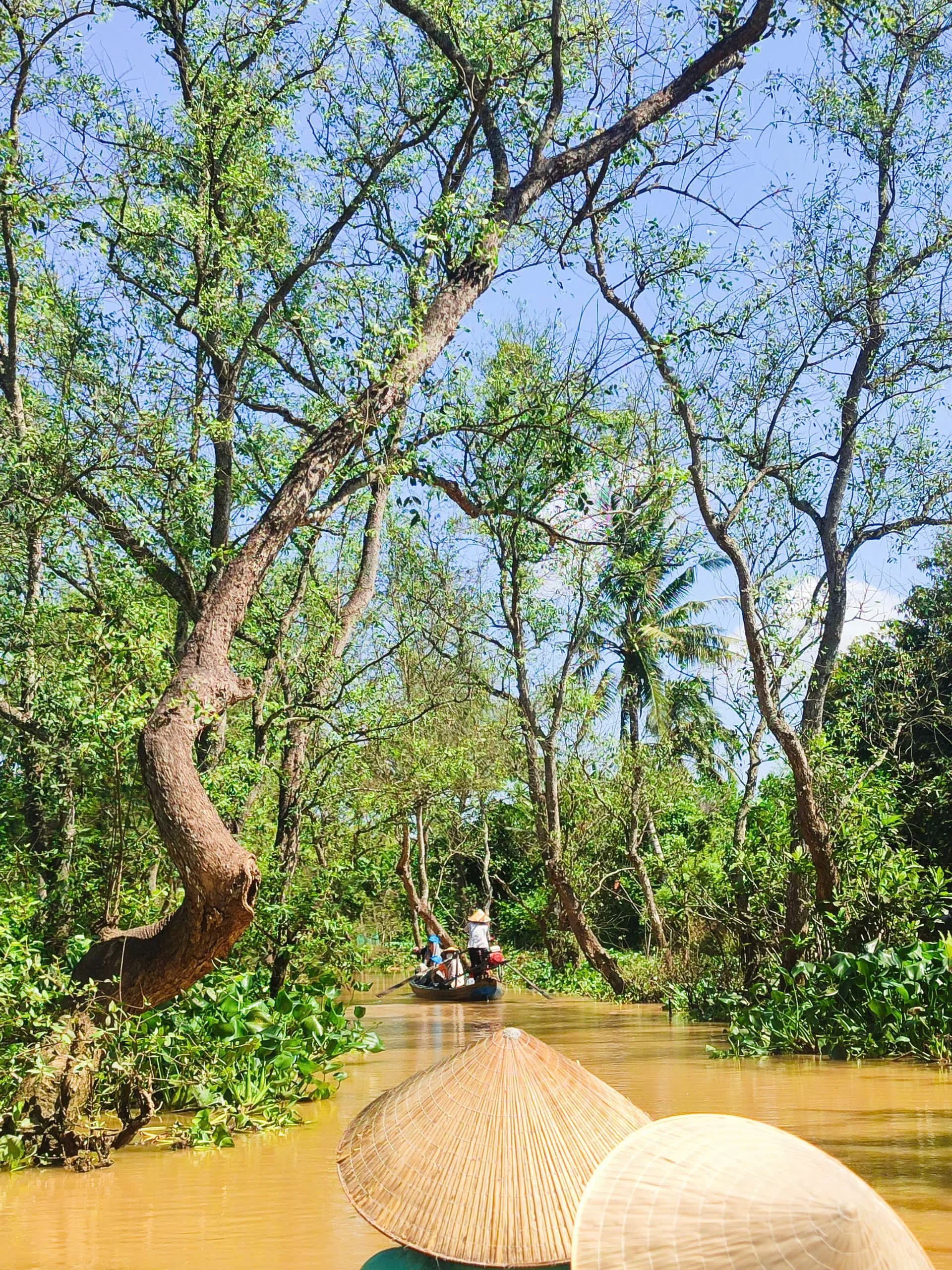 Tour 1 ngày Cái Bè - Cù Lao Tân Phong - Vĩnh Long