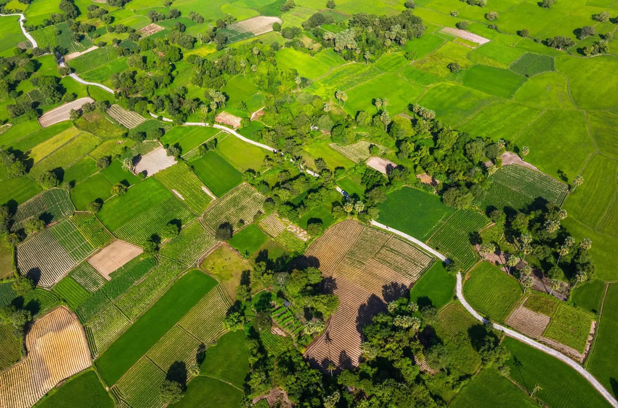 Tour miền tây 3 ngày 2 đêm: Mỹ Tho - Bến Tre - Cần Thơ - Châu Đốc