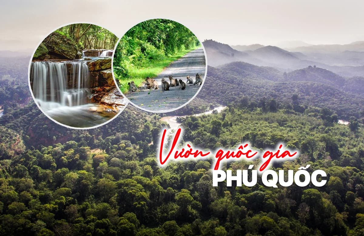 Vườn quốc gia Phú Quốc – Hệ sinh thái rừng nguyên sinh đa dạng bậc nhất
