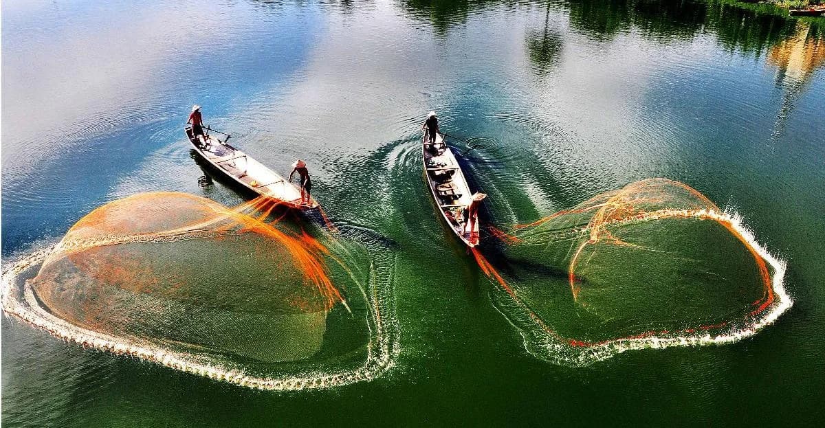 Nên đi miền Tây mùa nào đẹp nhất? Kinh nghiệm du lịch