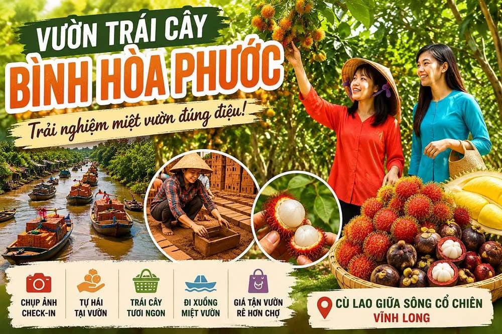 Vườn Trái Cây Bình Hòa Phước Vĩnh Long: Mùa Nào Ngon Nhất?