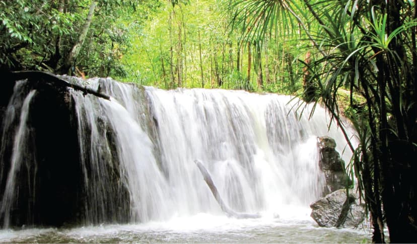 Suối Tranh Ở Đâu?