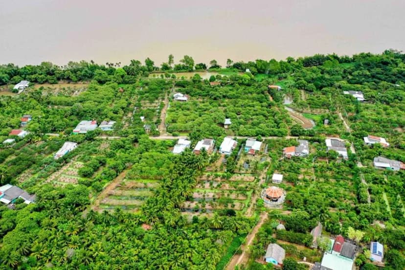 Toàn cảnh cồn Mỹ Phước