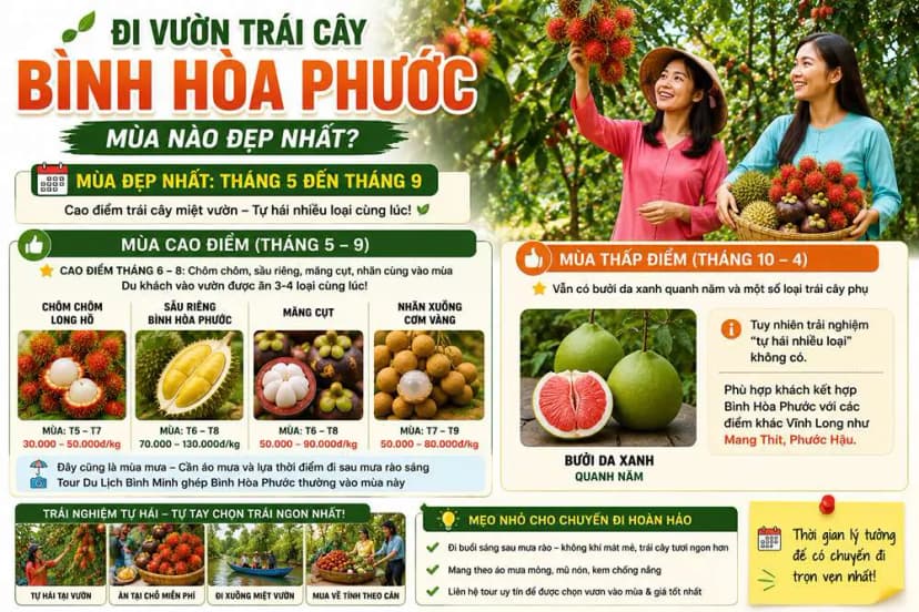 Đi vườn trái cây Bình Hòa Phước mùa nào đẹp nhất?