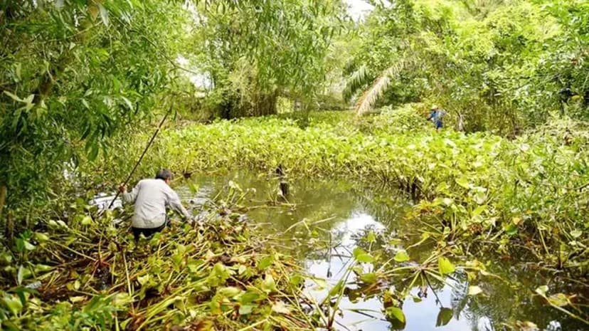 Công viên văn hoá An Hoà