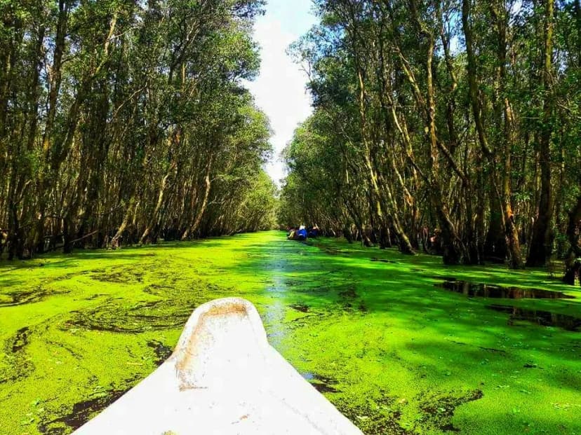 Nên đi miền Tây tự túc hay theo tour nếu muốn tiết kiệm?