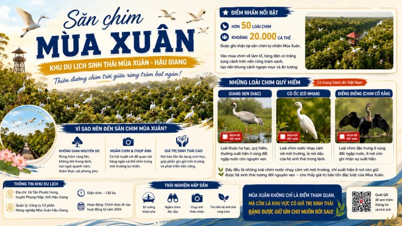 Đàn chim sinh sống trong sân chim Khu du lịch Mùa Xuân