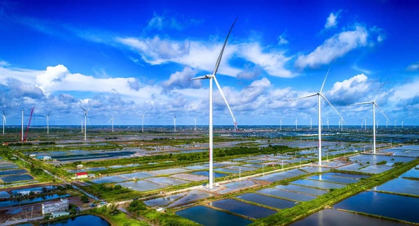 Cánh đồng điện gió Bạc Liêu
