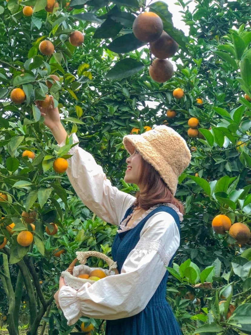 Vườn trái cây tại khu du lịch sinh thái miền Tây