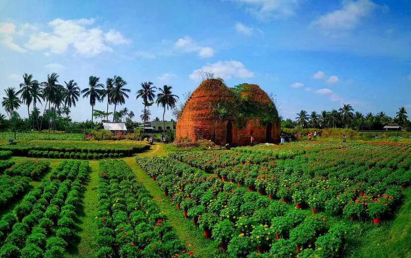 Làng hoa kiểng Chợ Lách Bến Tre rực rỡ vào mùa hoa Tết
