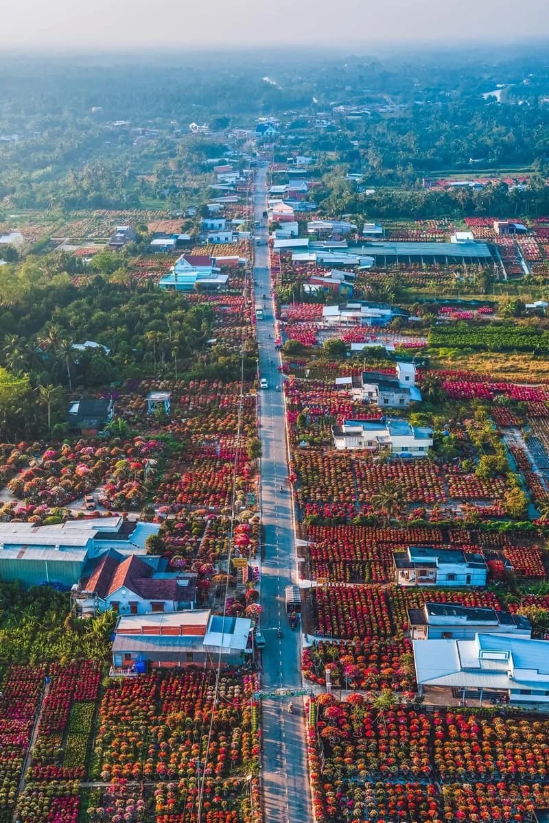 Trải nghiệm tham quan làng hoa kiểng Chợ Lách mùa Tết