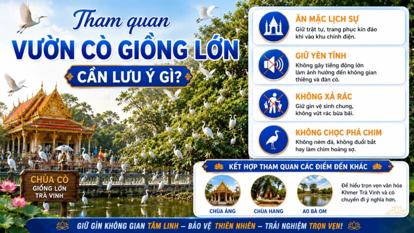 Du khách tham quan Vườn Cò Giồng Lớn cần giữ yên tĩnh và tôn trọng đàn chim