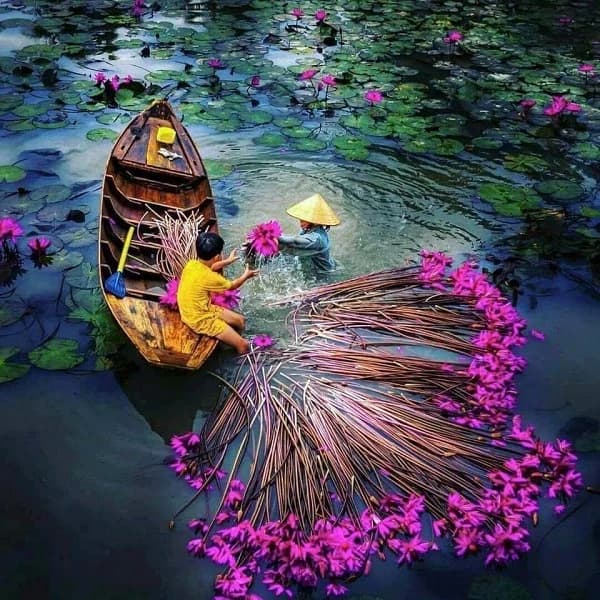 chi phí đi miền Tây 1 ngày từ TP.HCM