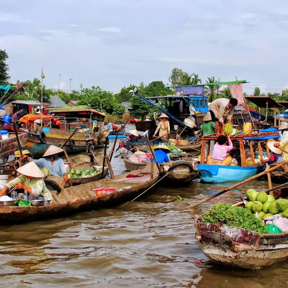 TOUR 1 NGÀY: CÁI BÈ - CÙ LAO TÂN PHONG - VĨNH LONG