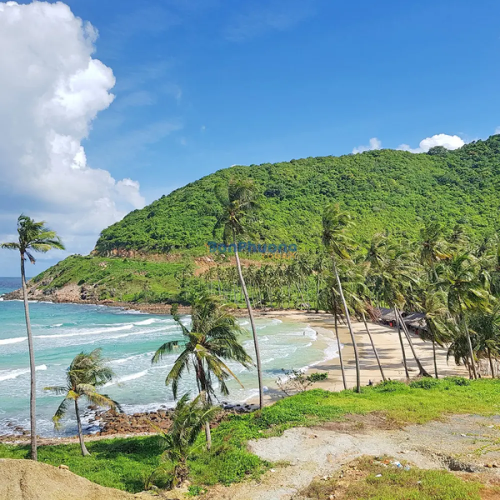 Tour Đảo Nam Du 3N3D