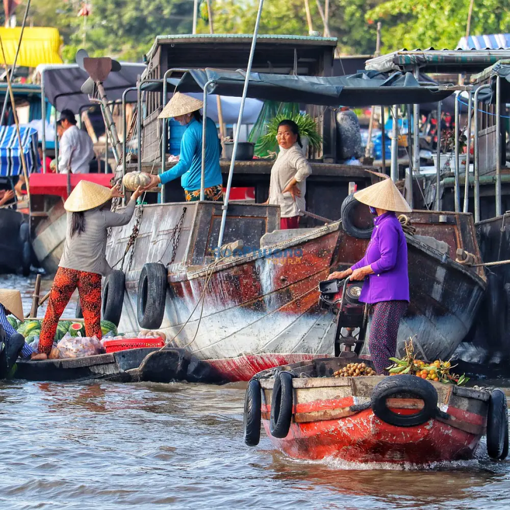Tour Miền Tây 1 Ngày: Chợ Nổi Cái Răng - Làng Du Lịch Mỹ Khánh