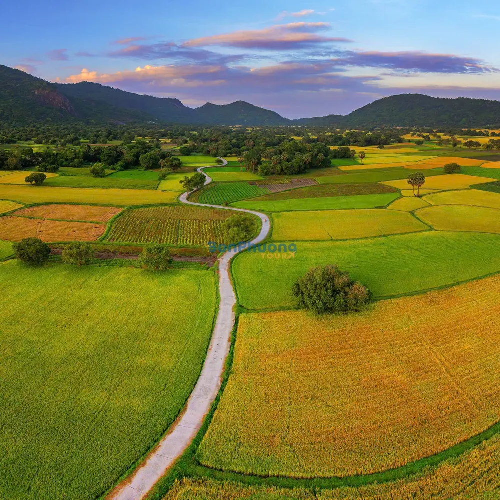 Tour miền tây 3 ngày 2 đêm: Mỹ Tho - Bến Tre - Cần Thơ - Châu Đốc