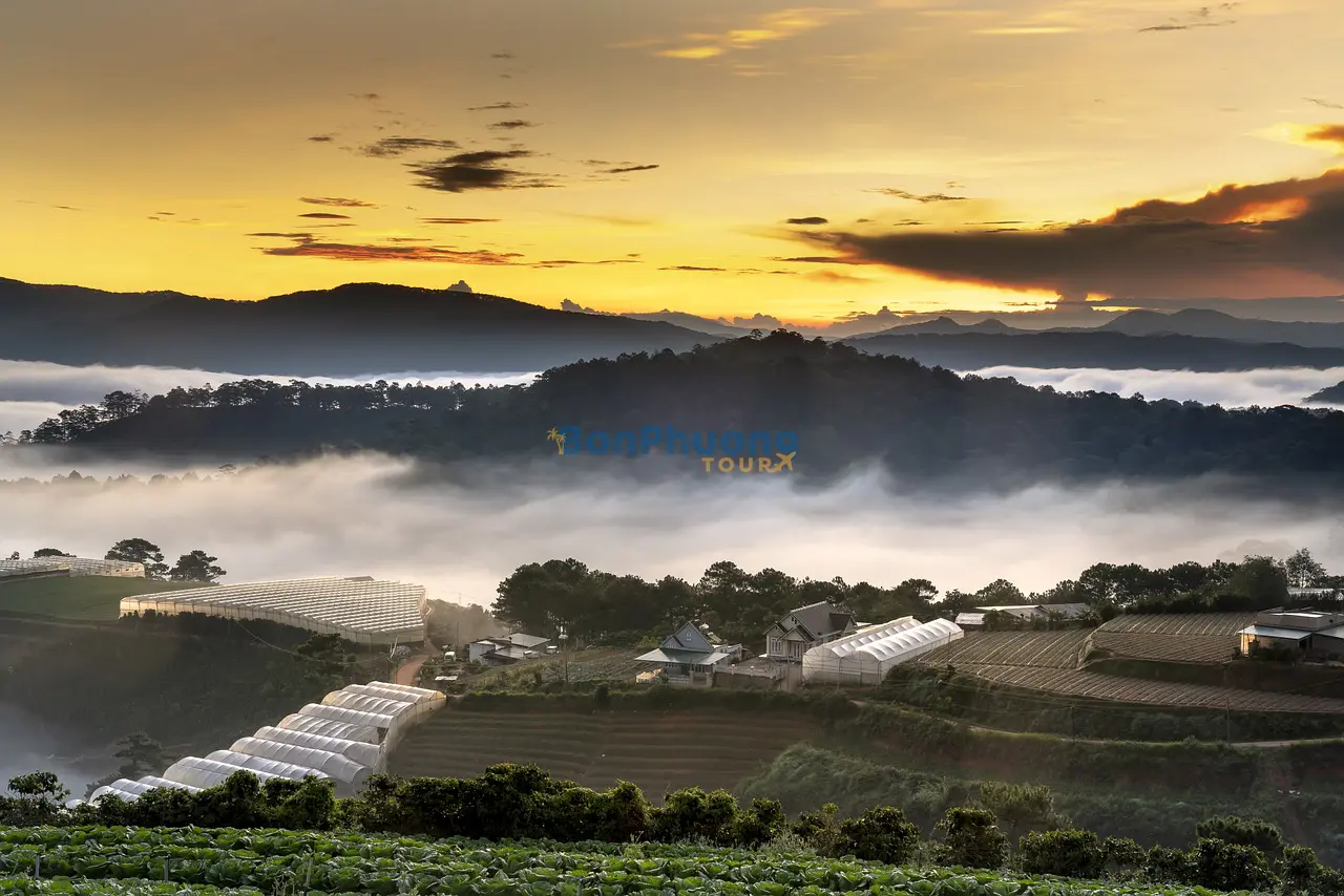 Tour 3 ngày 3 đêm Đà Lạt - Tea Resort Thác Prenn