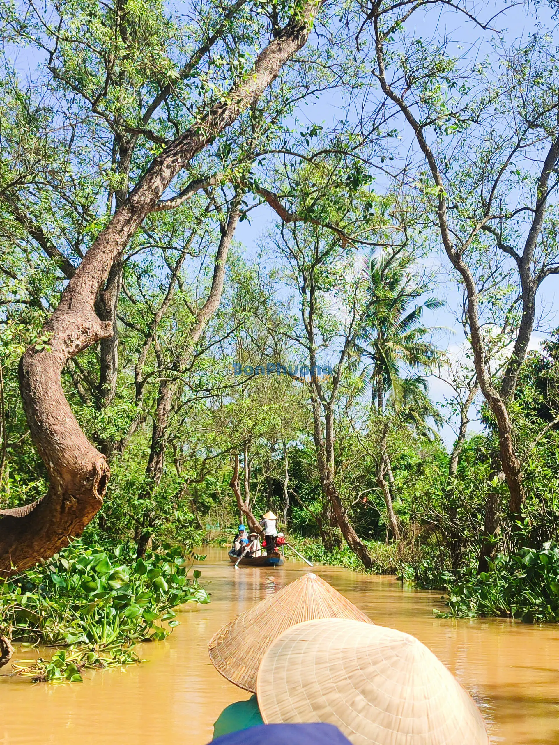 Tour 1 ngày Cái Bè - Cù Lao Tân Phong - Vĩnh Long