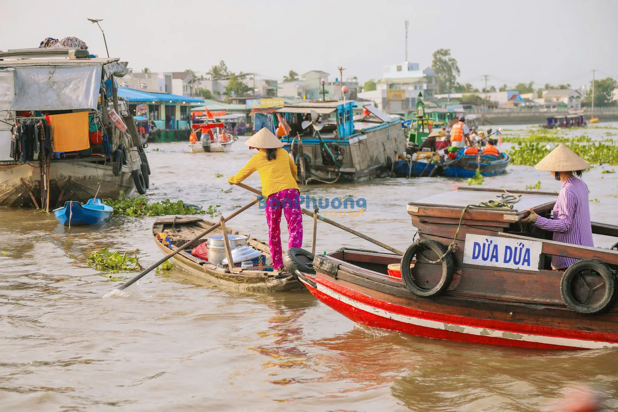 Tour Miền Tây 1 Ngày: Chợ Nổi Cái Răng - Làng Du Lịch Mỹ Khánh