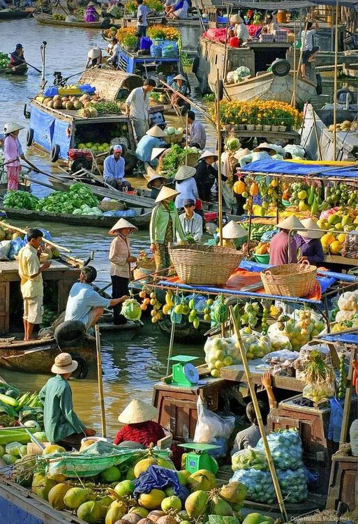 TOUR 3 NGÀY 2 ĐÊM: CẦN THƠ - ĐẤT MŨI CÀ MAU