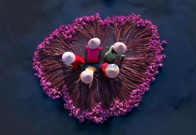 Cẩm Nang Du Lịch