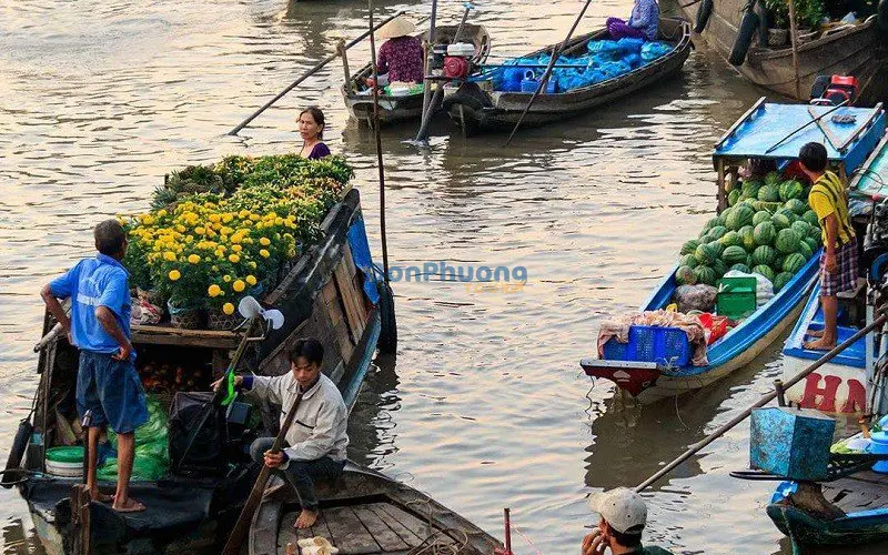 Khám Phá Nét Đặc Sắc Ở Chợ Nổi Cái Răng