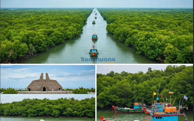 Tour Cà Mau 3 Ngày 2 Đêm - Khám Phá Miền Đất Cuối Cùng Tổ Quốc