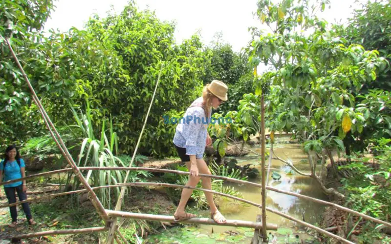 Vườn du lịch sinh thái Vũ Bình: Tham quan và ăn trái cây thả ga