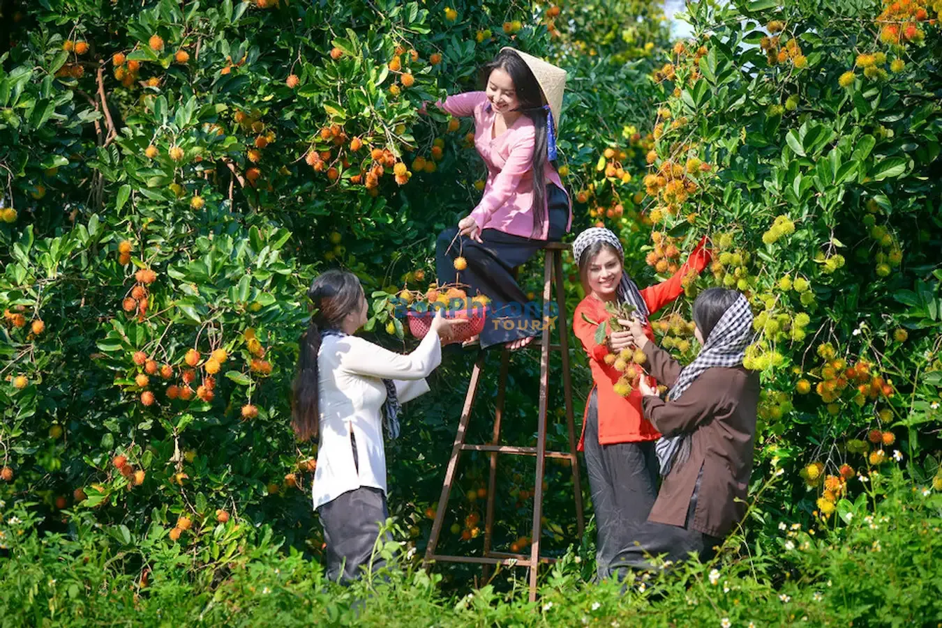 Vườn trái cây Vàm Xáng Cần Thơ