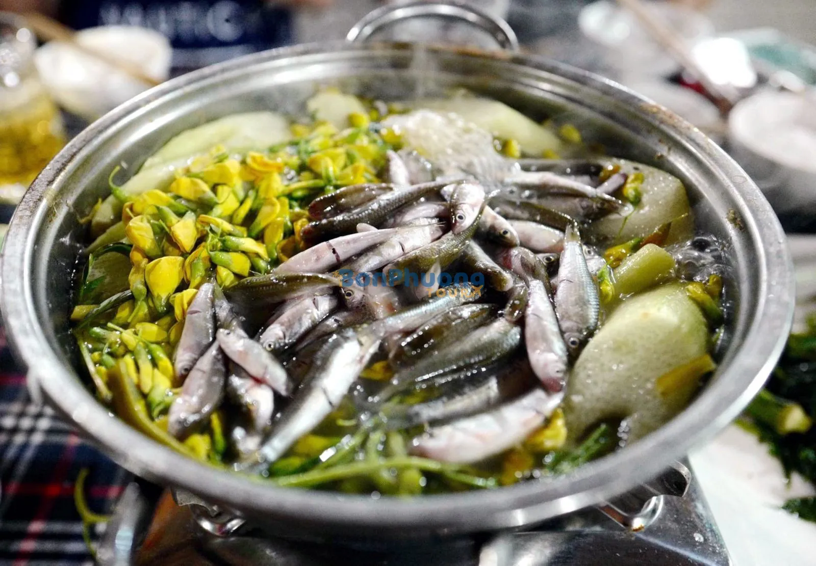 lau-ca-linh-bong-dien-dien