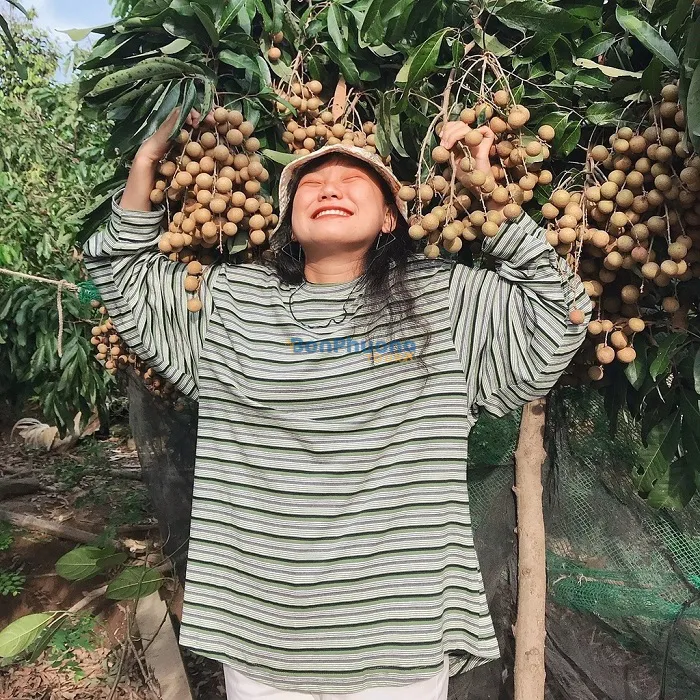 Vườn trái cây Vũ Bình